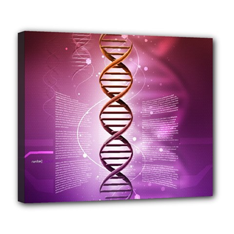 Dna Deluxe Canvas 24  x 20  (Stretched) from ArtsNow.com