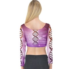 Long Sleeve Crop Top 