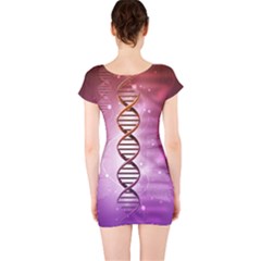 Short Sleeve Bodycon Dress Back Short Sleeve Bodycon Dress Back