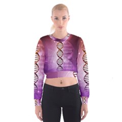 Cropped Sweatshirt 