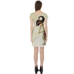 Short Sleeve Skater Dress Back Short Sleeve Skater Dress Back