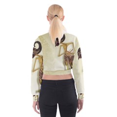Cropped Sweatshirt 