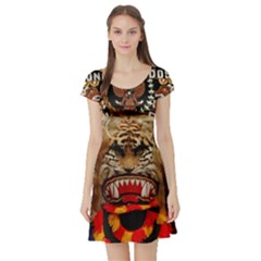 Short Sleeve Skater Dress Front Short Sleeve Skater Dress Front