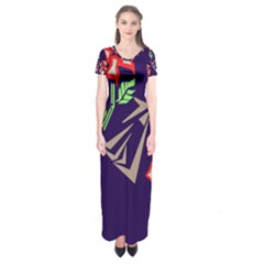 Short Sleeve Maxi Dress 