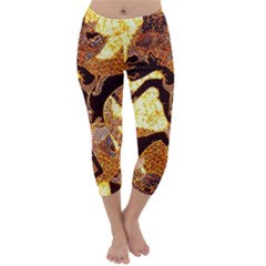 Capri Winter Leggings Front Capri Winter Leggings Front