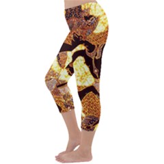 Capri Winter Leggings Back Capri Winter Leggings Back