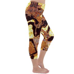 Capri Winter Leggings  