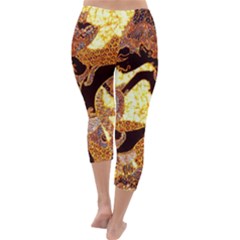 Capri Winter Leggings  