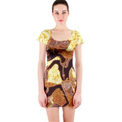 Short Sleeve Bodycon Dress Front Short Sleeve Bodycon Dress Front