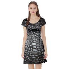 Short Sleeve Skater Dress Front Short Sleeve Skater Dress Front
