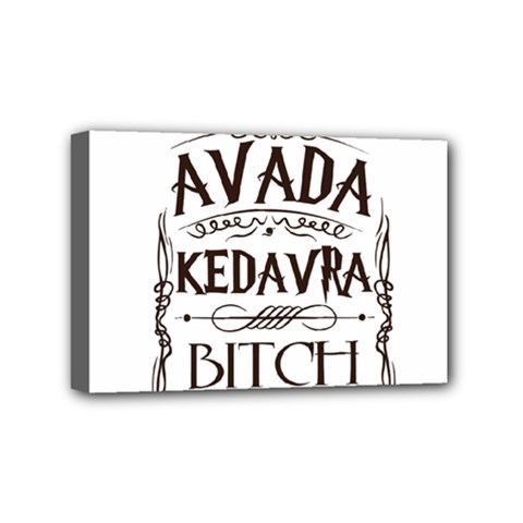 Avada Kedavra Bitch Harry  Potter Mini Canvas 6  x 4  (Stretched) from ArtsNow.com