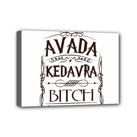 Avada Kedavra Bitch Harry  Potter Mini Canvas 7  x 5  (Stretched) from ArtsNow.com