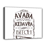 Avada Kedavra Bitch Harry  Potter Canvas 14  x 11  (Stretched)