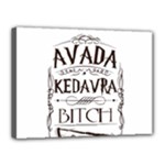 Avada Kedavra Bitch Harry  Potter Canvas 16  x 12  (Stretched)