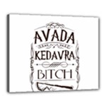 Avada Kedavra Bitch Harry  Potter Canvas 20  x 16  (Stretched)