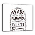 Avada Kedavra Bitch Harry  Potter Canvas 24  x 20  (Stretched)