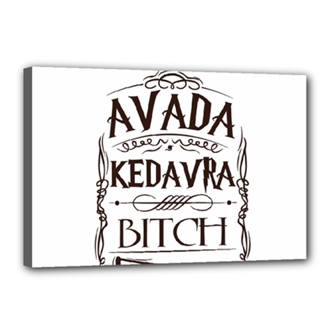 Avada Kedavra Bitch Harry  Potter Canvas 18  x 12  (Stretched) from ArtsNow.com