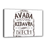Avada Kedavra Bitch Harry  Potter Canvas 18  x 12  (Stretched)
