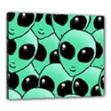 Canvas 24  x 20  (Stretched) 