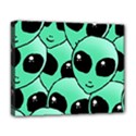 Deluxe Canvas 20  x 16  (Stretched) 