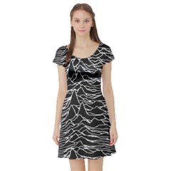 Short Sleeve Skater Dress Front Short Sleeve Skater Dress Front