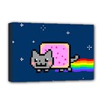 Nyan Cat Deluxe Canvas 18  x 12  (Stretched)