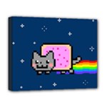 Nyan Cat Deluxe Canvas 20  x 16  (Stretched)