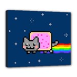 Nyan Cat Deluxe Canvas 24  x 20  (Stretched)