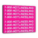 1 800 1 800 1800 Hotline Bling Canvas 20  x 16  (Stretched)