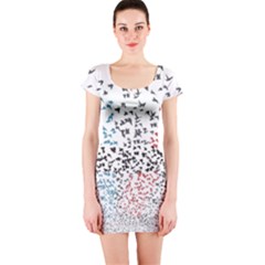 Short Sleeve Bodycon Dress Front Short Sleeve Bodycon Dress Front