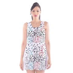Scoop Neck Skater Dress 