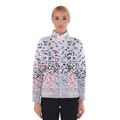 Women s Bomber Jacket 