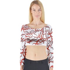 Long Sleeve Crop Top 