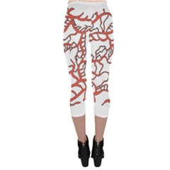 Capri Leggings  Back