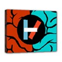 Deluxe Canvas 20  x 16  (Stretched) 