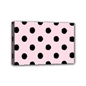 Mini Canvas 6  x 4  (Stretched) 