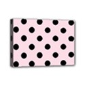 Mini Canvas 7  x 5  (Stretched) 