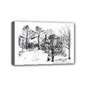 Mini Canvas 6  x 4  (Stretched) 