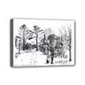 Mini Canvas 7  x 5  (Stretched) 