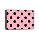 Mini Canvas 6  x 4  (Stretched) 