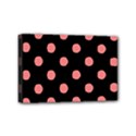 Mini Canvas 6  x 4  (Stretched) 