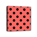 Mini Canvas 4  x 4  (Stretched) 