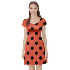 Short Sleeve Skater Dress Front