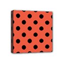 Mini Canvas 4  x 4  (Stretched) 