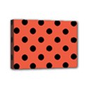 Mini Canvas 7  x 5  (Stretched) 