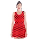 Polka Dots - Black on Red Scoop Neck Skater Dress