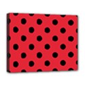 Deluxe Canvas 20  x 16  (Stretched) 