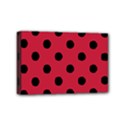 Mini Canvas 6  x 4  (Stretched) 