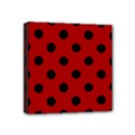 Mini Canvas 4  x 4  (Stretched) 