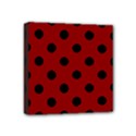 Mini Canvas 4  x 4  (Stretched) 